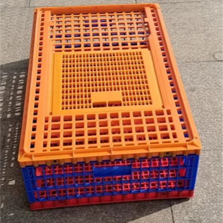 product-450-450 product-450-450
