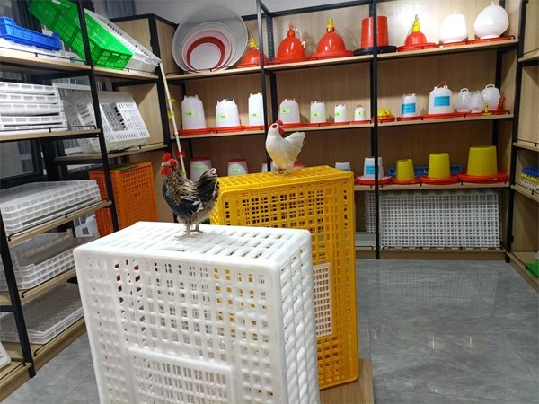 product-600-450