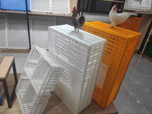product-600-450