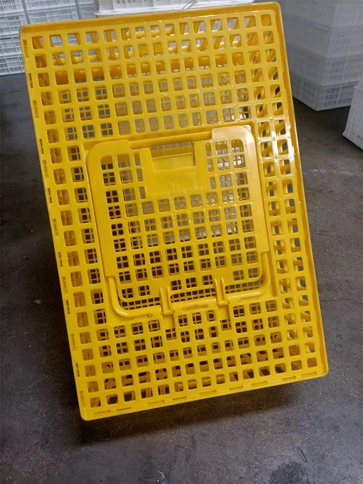 e72f1c717a492ad60d0ba8804236747